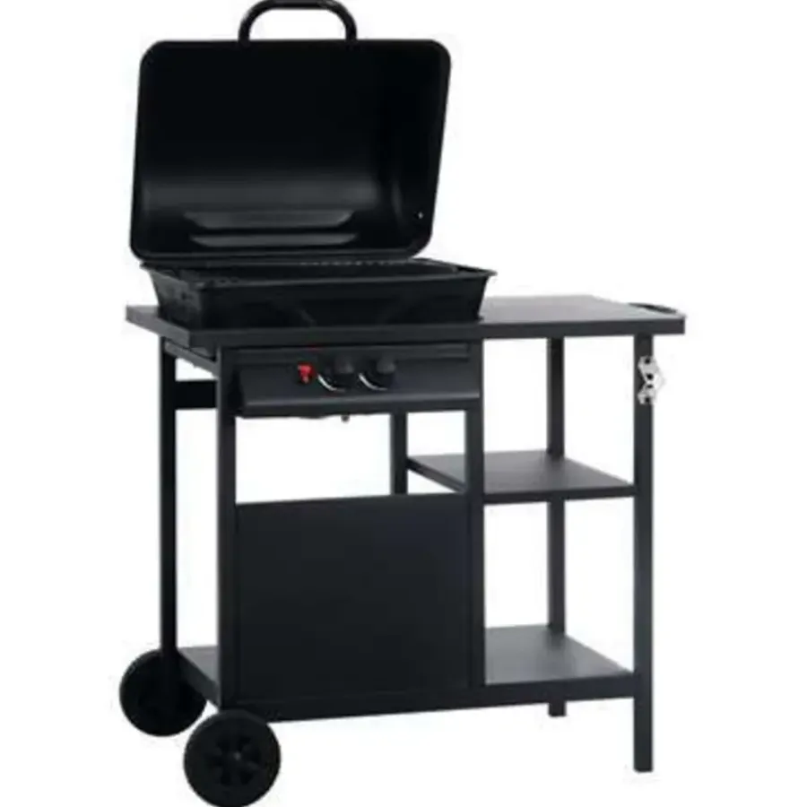 Barbecues En Accessoires-vidaXL - Barbecue - Zwart - Staal