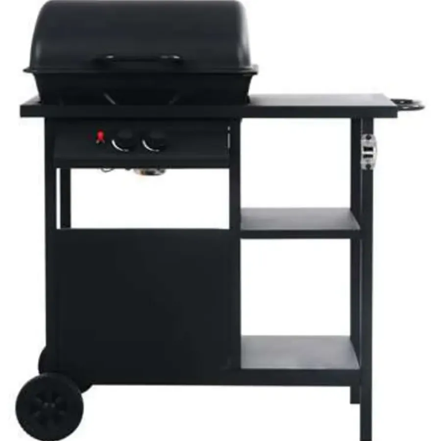 Barbecues En Accessoires-vidaXL - Barbecue - Zwart - Staal