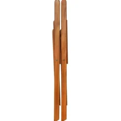 vidaXL - Bistrostoel - Bruin - Hout - 2 stuks
