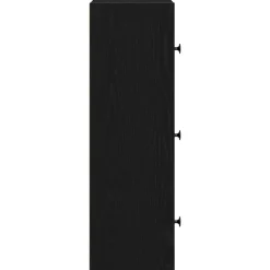 Boekenkasten|Boekenkasten-vidaXL - Boekenkast met 3 deuren voor woonkamers - Zwart - Hout - 40x24x77 cm