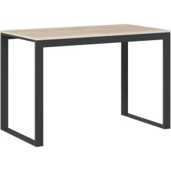 Bureaus-vidaXL - Computertafel - Bruin - Bewerkt hout