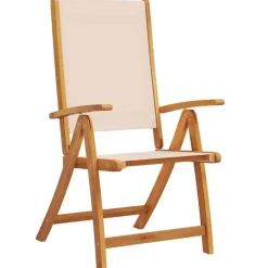 Tuinstoelen-vidaXL - Inklapbare Tuinstoelen - Bruin - Acaciahout - 4 stuks