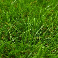 vidaXL - Kunstgras - Groen - Polypropyleen - 1 x 5 m