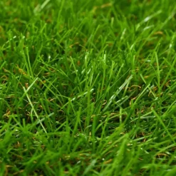 Kunstgras|Kunstgras-vidaXL - Kunstgras - Groen - Polypropyleen - 1 x 10 m