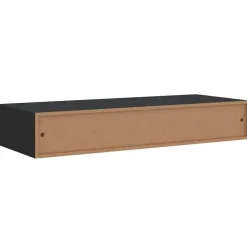 vidaXL - Ladeschap - Zwart - MDF