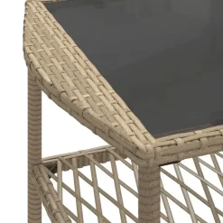 Loungesets-vidaXL - Loungeset - Beige - Poly rattan