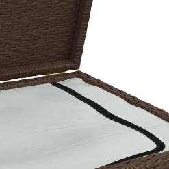 vidaXL - Opbergkist - Bruin - Poly rattan