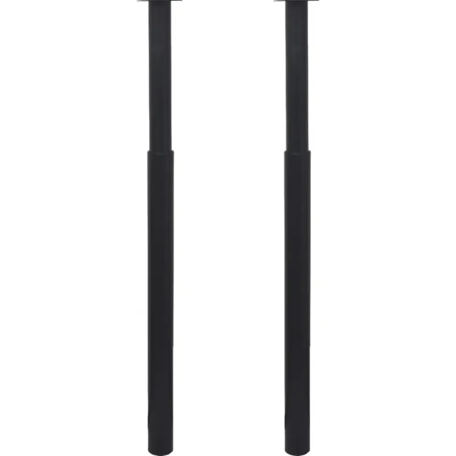 Tafelpoten-vidaXL - Tafelpoot - Zwart - IJzer - 2 stuks