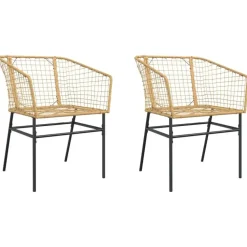 vidaXL - Terrasstoel - Bruin - Poly rattan en staal - 2 stuks
