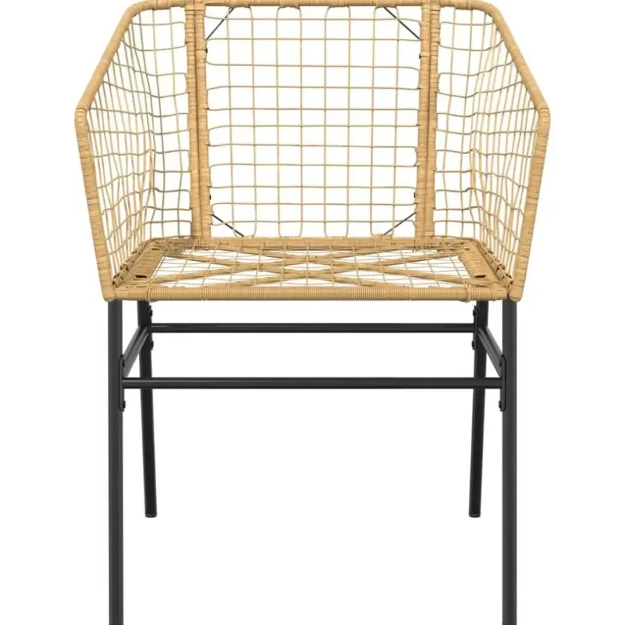 vidaXL - Terrasstoel - Bruin - Poly rattan en staal - 2 stuks