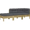 vidaXL - Tuinbank 2-zits - Bruin - Hout - Met kussens en voetenbank