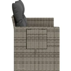 Loungebanken-vidaXL - Tuinbank 2-zits - Grijs - Poly rattan - Met kussens