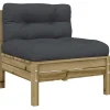 vidaXL - Tuinbank zonder armleuningen - Bruin - Hout - Met kussens