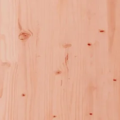 vidaXL - Tuinbanken zonder armleuningen - Bruin - Hout - 2 stuks - Met kussens