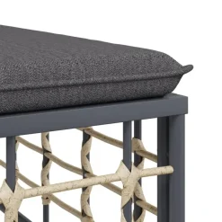 vidaXL - Tuinhoekbank - Antraciet - Poly rattan - Met kussens