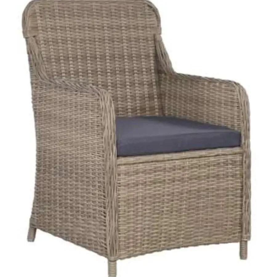 vidaXL - Tuinset - Bruin - Poly rattan