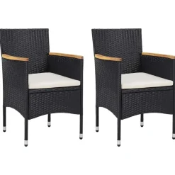 vidaXL - Tuinset - Zwart - Poly rattan