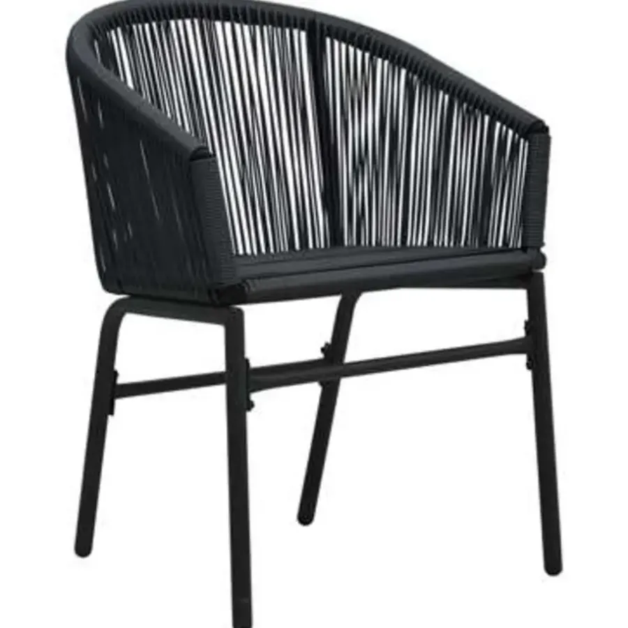 Bistro- & Balkonsets-vidaXL - Tuinset - Zwart - Polyetheen
