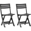 vidaXL - Tuinstoel - Antraciet - Kunststof - 2 stuks