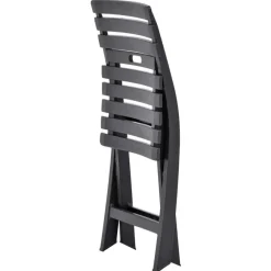 vidaXL - Tuinstoel - Antraciet - Kunststof - 2 stuks