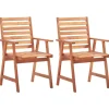 vidaXL - Tuinstoel - Bruin - Hout - 2 stuks