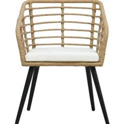 Tuinstoelen-vidaXL - Tuinstoel - Bruin - Poly rattan - 2 stuks