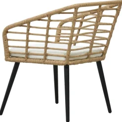 Tuinstoelen-vidaXL - Tuinstoel - Bruin - Poly rattan - 2 stuks