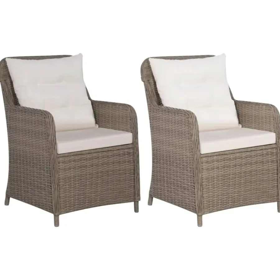 vidaXL - Tuinstoel - Bruin - Poly rattan - 2 stuks