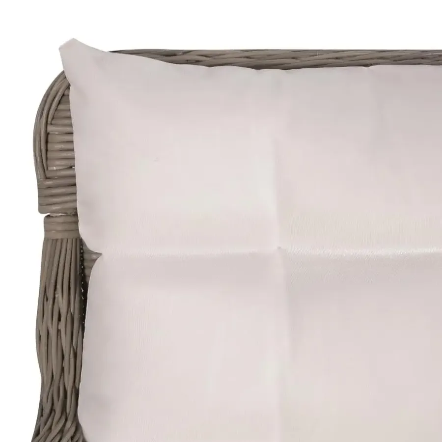 vidaXL - Tuinstoel - Bruin - Poly rattan - 2 stuks