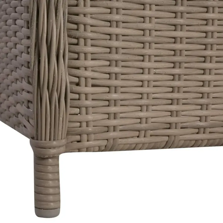 vidaXL - Tuinstoel - Bruin - Poly rattan - 2 stuks