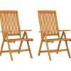 Tuinstoelen-vidaXL - Tuinstoel - Bruin - Eucalyptushout - 2 stuks - Inklapbaar