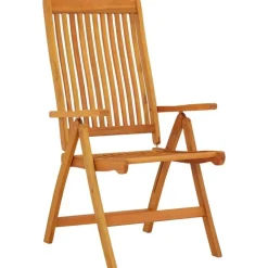 Tuinstoelen-vidaXL - Tuinstoel - Bruin - Eucalyptushout - 2 stuks - Inklapbaar