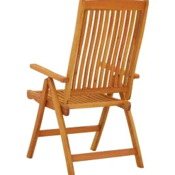 Tuinstoelen-vidaXL - Tuinstoel - Bruin - Eucalyptushout - 2 stuks - Inklapbaar