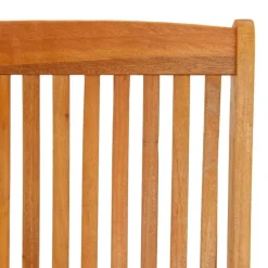 Tuinstoelen-vidaXL - Tuinstoel - Bruin - Eucalyptushout - 2 stuks - Inklapbaar