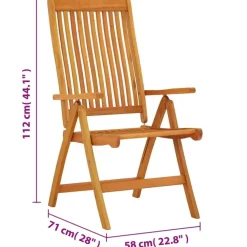 Tuinstoelen-vidaXL - Tuinstoel - Bruin - Eucalyptushout - 2 stuks - Inklapbaar