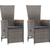 vidaXL - Tuinstoel - Grijs - Poly rattan - 2 stuks