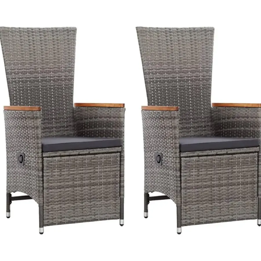 vidaXL - Tuinstoel - Grijs - Poly rattan - 2 stuks