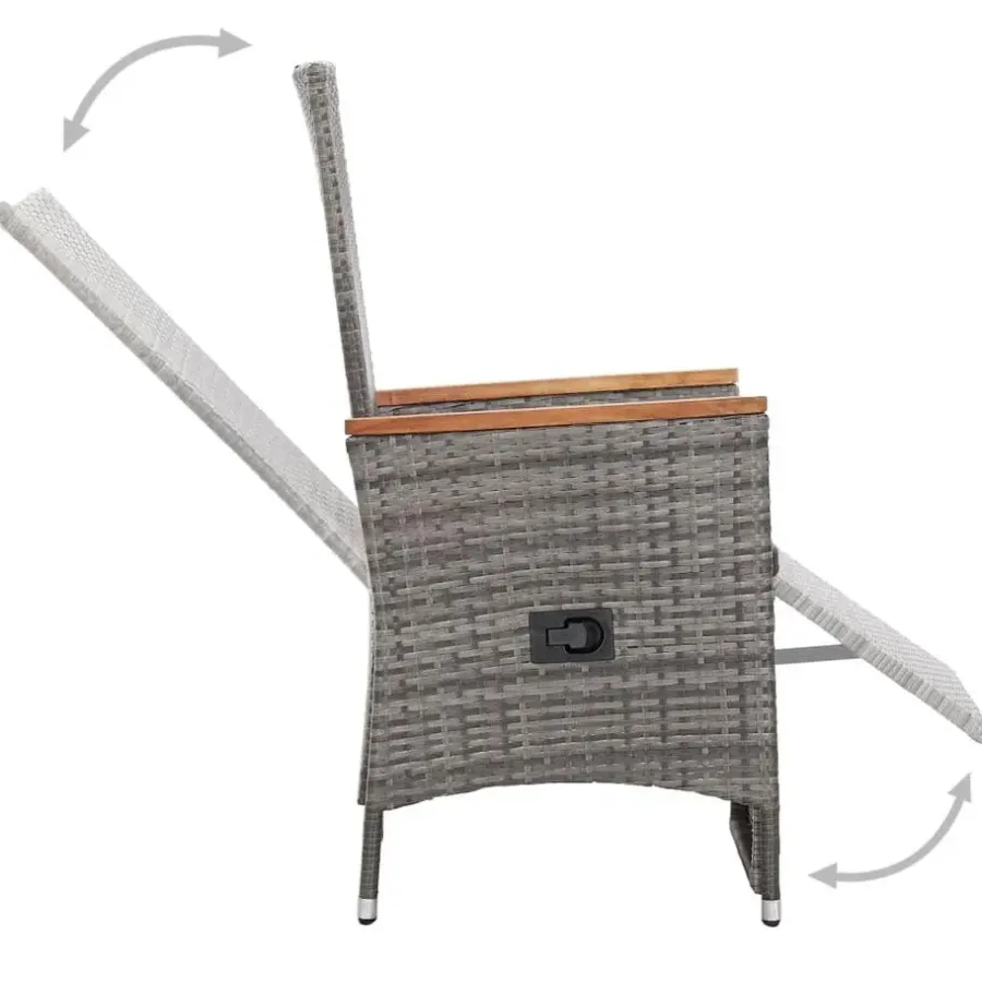vidaXL - Tuinstoel - Grijs - Poly rattan - 2 stuks