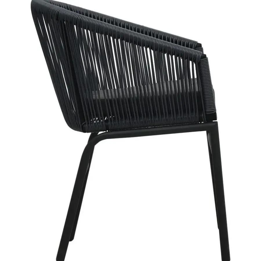 vidaXL - Tuinstoel - Zwart - Polyetheen - 2 stuks