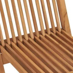 vidaXL - Tuinstoelen - Bruin - Hout - 2 stuks - Inklapbaar