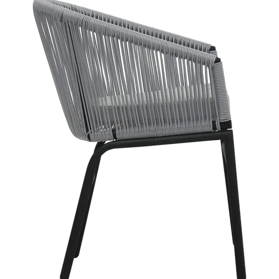 vidaXL - Tuinstoelen - Grijs - Polyetheen - 2 stuks