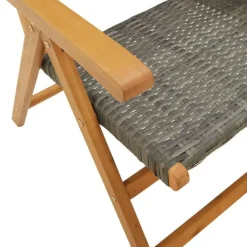 Tuinstoelen-vidaXL - Tuinstoelen - Grijs - Acaciahout en poly rattan - 2 stuks