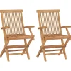 Tuinstoelen-vidaXL - Tuinstoelen - Inklapbaar - Massief teakhout - 2 stuks