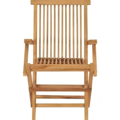 Tuinstoelen-vidaXL - Tuinstoelen - Inklapbaar - Massief teakhout - 2 stuks