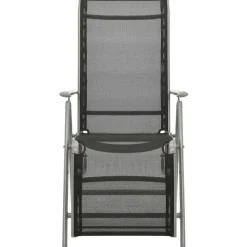 vidaXL - Tuinstoelen - Zilverkleurig - Aluminium - 2 stuks - Verstelbaar
