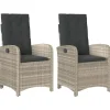 Tuinstoelen-vidaXL - Tuinstoelen verstelbaar - Grijs - Poly rattan - 2 stuks - Met kussens