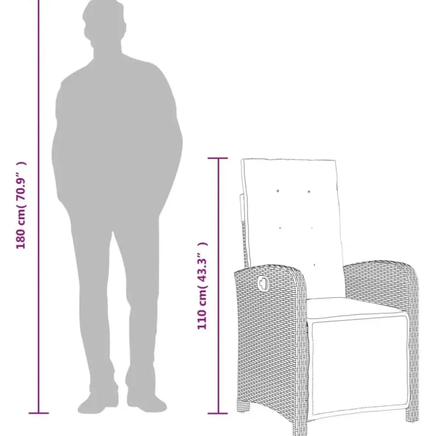 vidaXL - Verstelbare tuinstoelen - Voetensteun - Grijs - Poly rattan - 2 stuks