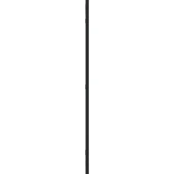 Spiegels-vidaXL - Wandspiegel - Zwart - IJzer - 40 x 80 cm