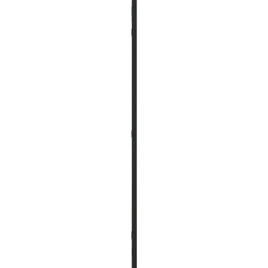 Spiegels-vidaXL - Wandspiegel - Zwart - IJzer - 40 x 80 cm
