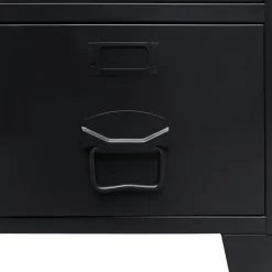 Wandkasten-vidaXL - Zwart - Metaal